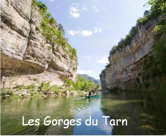 Chambre Au Calme Avec Spa Privatif Gratuit Sud Aveyron Les Palmiers Des Causses Saint-Rome-de-Tarn Dış mekan fotoğraf